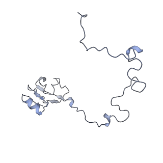 8176_5ju8_BL_v1-1
Cryo-EM structure of an ErmBL-stalled ribosome in complex with P-, and E-tRNA