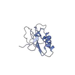 8176_5ju8_BM_v1-1
Cryo-EM structure of an ErmBL-stalled ribosome in complex with P-, and E-tRNA