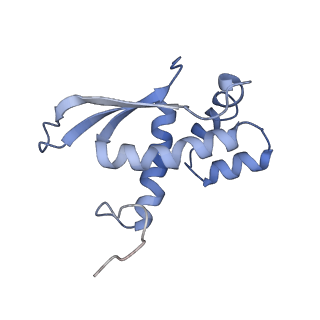 8176_5ju8_BN_v1-1
Cryo-EM structure of an ErmBL-stalled ribosome in complex with P-, and E-tRNA