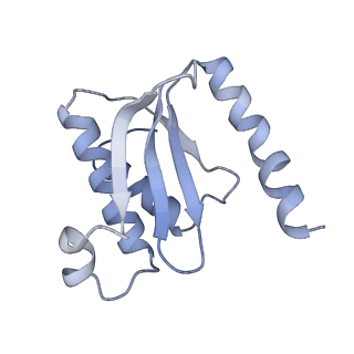 8176_5ju8_BO_v1-1
Cryo-EM structure of an ErmBL-stalled ribosome in complex with P-, and E-tRNA