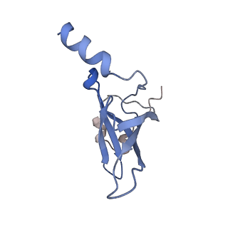 8176_5ju8_BP_v1-1
Cryo-EM structure of an ErmBL-stalled ribosome in complex with P-, and E-tRNA