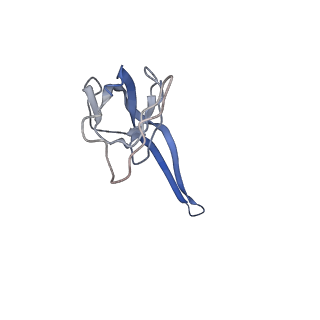 8176_5ju8_BR_v1-1
Cryo-EM structure of an ErmBL-stalled ribosome in complex with P-, and E-tRNA