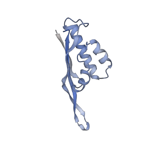 8176_5ju8_BS_v1-1
Cryo-EM structure of an ErmBL-stalled ribosome in complex with P-, and E-tRNA