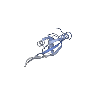 8176_5ju8_BT_v1-1
Cryo-EM structure of an ErmBL-stalled ribosome in complex with P-, and E-tRNA
