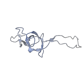 8176_5ju8_BU_v1-1
Cryo-EM structure of an ErmBL-stalled ribosome in complex with P-, and E-tRNA