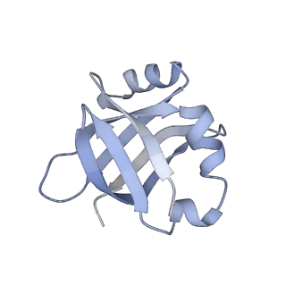 8176_5ju8_BV_v1-1
Cryo-EM structure of an ErmBL-stalled ribosome in complex with P-, and E-tRNA