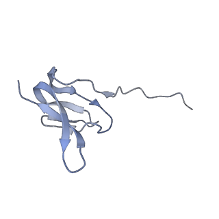 8176_5ju8_BW_v1-1
Cryo-EM structure of an ErmBL-stalled ribosome in complex with P-, and E-tRNA