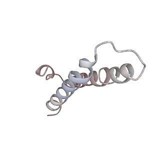 8176_5ju8_BY_v1-1
Cryo-EM structure of an ErmBL-stalled ribosome in complex with P-, and E-tRNA