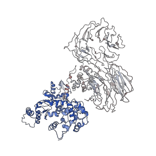 8177_5jul_G_v1-3
Near atomic structure of the Dark apoptosome