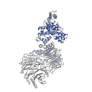 8178_5juy_A_v1-4
Active human apoptosome with procaspase-9