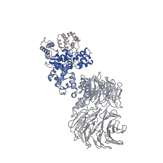 8178_5juy_B_v1-4
Active human apoptosome with procaspase-9