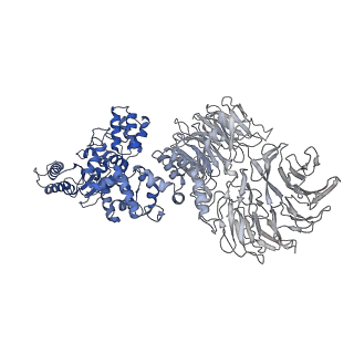 8178_5juy_C_v1-4
Active human apoptosome with procaspase-9