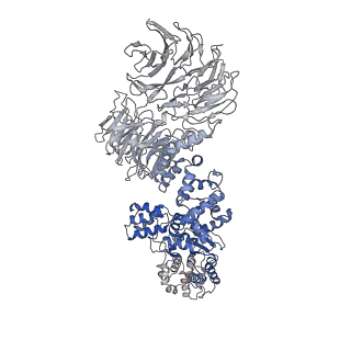 8178_5juy_E_v1-4
Active human apoptosome with procaspase-9
