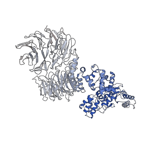 8178_5juy_F_v1-4
Active human apoptosome with procaspase-9