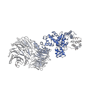 8178_5juy_G_v1-4
Active human apoptosome with procaspase-9