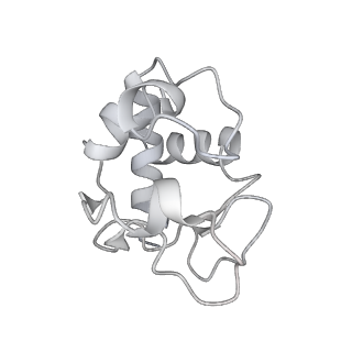 8178_5juy_H_v1-4
Active human apoptosome with procaspase-9