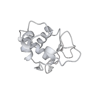 8178_5juy_I_v1-4
Active human apoptosome with procaspase-9