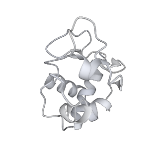 8178_5juy_K_v1-4
Active human apoptosome with procaspase-9
