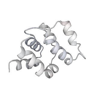 8178_5juy_O_v1-4
Active human apoptosome with procaspase-9