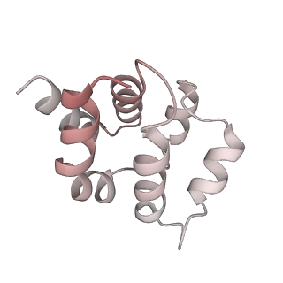 8178_5juy_R_v1-4
Active human apoptosome with procaspase-9
