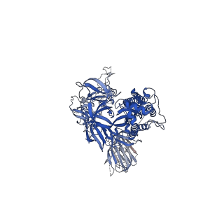 22492_7jv4_A_v1-3
SARS-CoV-2 spike in complex with the S2H13 neutralizing antibody (one RBD open)