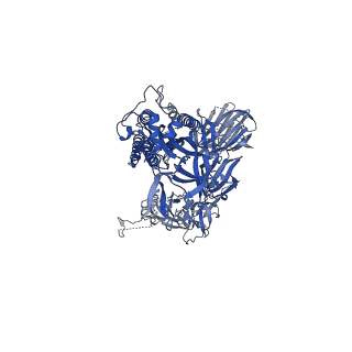 22492_7jv4_C_v1-3
SARS-CoV-2 spike in complex with the S2H13 neutralizing antibody (one RBD open)