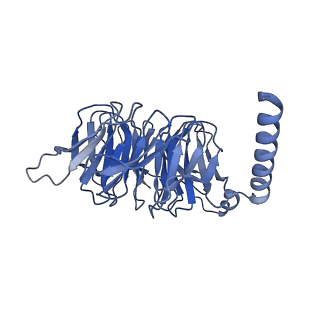 22493_7jv5_B_v1-1
Cryo-EM structure of SKF-81297-bound dopamine receptor 1 in complex with Gs protein