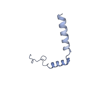 22493_7jv5_G_v1-1
Cryo-EM structure of SKF-81297-bound dopamine receptor 1 in complex with Gs protein