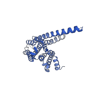 22493_7jv5_R_v1-1
Cryo-EM structure of SKF-81297-bound dopamine receptor 1 in complex with Gs protein