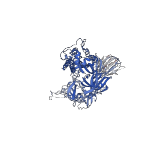 22494_7jv6_A_v1-3
SARS-CoV-2 spike in complex with the S2H13 neutralizing antibody (closed conformation)