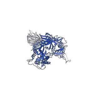 22494_7jv6_B_v1-3
SARS-CoV-2 spike in complex with the S2H13 neutralizing antibody (closed conformation)