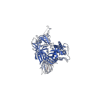 22494_7jv6_E_v1-3
SARS-CoV-2 spike in complex with the S2H13 neutralizing antibody (closed conformation)
