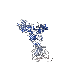 22506_7jvc_A_v1-3
SARS-CoV-2 spike in complex with the S2A4 neutralizing antibody Fab fragment