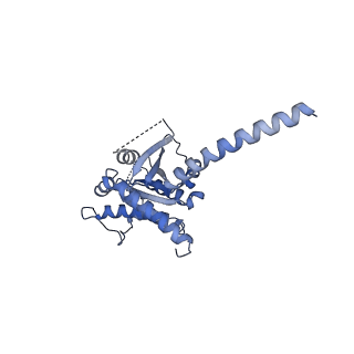 22509_7jvp_A_v1-1
Cryo-EM structure of SKF-83959-bound dopamine receptor 1 in complex with Gs protein