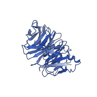 22509_7jvp_B_v1-1
Cryo-EM structure of SKF-83959-bound dopamine receptor 1 in complex with Gs protein