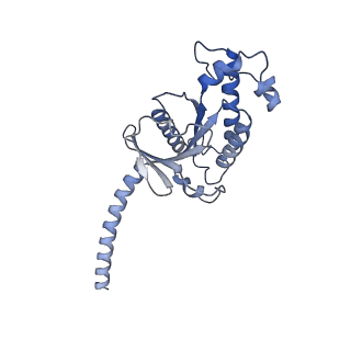 22510_7jvq_A_v1-1
Cryo-EM structure of apomorphine-bound dopamine receptor 1 in complex with Gs protein