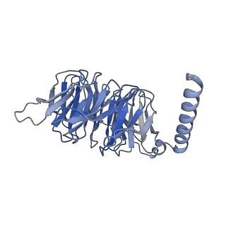 22510_7jvq_B_v1-1
Cryo-EM structure of apomorphine-bound dopamine receptor 1 in complex with Gs protein