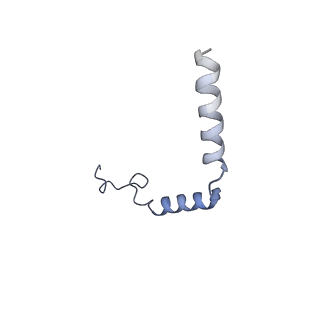 22510_7jvq_G_v1-1
Cryo-EM structure of apomorphine-bound dopamine receptor 1 in complex with Gs protein