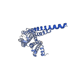 22510_7jvq_R_v1-1
Cryo-EM structure of apomorphine-bound dopamine receptor 1 in complex with Gs protein