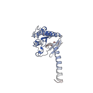 22511_7jvr_A_v1-1
Cryo-EM structure of Bromocriptine-bound dopamine receptor 2 in complex with Gi protein