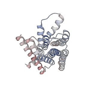 22511_7jvr_R_v1-1
Cryo-EM structure of Bromocriptine-bound dopamine receptor 2 in complex with Gi protein