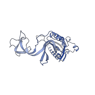 36669_8jv6_A_v1-1
Cryo-EM structures of the zebrafish P2X4 receptor in complex with BAY-1797