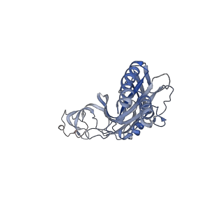 36671_8jv8_A_v1-0
Cryo-EM structures of the panda P2X7 receptor in complex with PPNDS