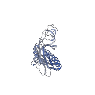 36671_8jv8_B_v1-0
Cryo-EM structures of the panda P2X7 receptor in complex with PPNDS