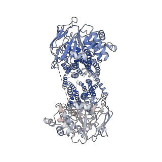 36674_8jvh_A_v1-0
Cryo-EM structure of Plasmodium falciparum multidrug resistance protein 1 in the apo state with H1 helix