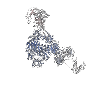 9889_6jv2_A_v1-3
Structure of RyR2 (P/L-Ca2+/Ca2+-CaM dataset)