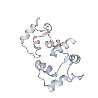 9889_6jv2_B_v1-3
Structure of RyR2 (P/L-Ca2+/Ca2+-CaM dataset)