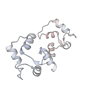 9889_6jv2_D_v1-3
Structure of RyR2 (P/L-Ca2+/Ca2+-CaM dataset)