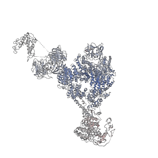 9889_6jv2_E_v1-3
Structure of RyR2 (P/L-Ca2+/Ca2+-CaM dataset)