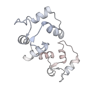 9889_6jv2_F_v1-3
Structure of RyR2 (P/L-Ca2+/Ca2+-CaM dataset)